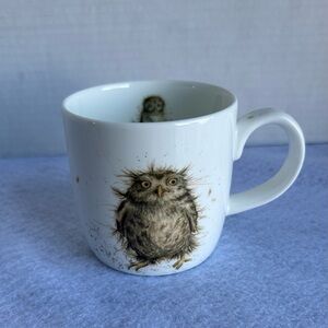Royal Worcester Owl Mug